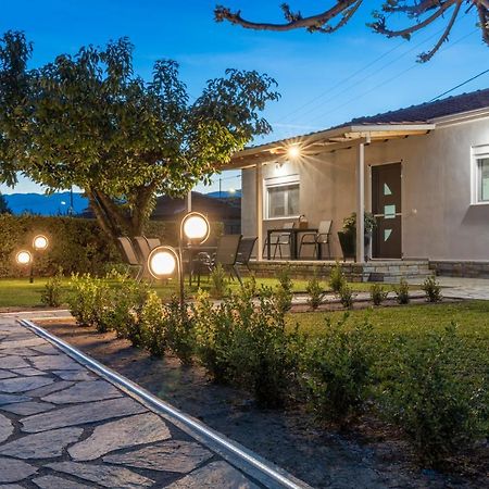 Villa Castellano Vasiliki Vasiliki  Exterior foto